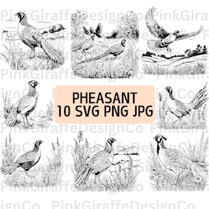 Fazant in de wildernis graslandscène SVG-bundel, gedetailleerd fazantvogel PNG-bestand, vogelillustratie, landbouwgrond dieren zeer fijne tekeningen
