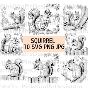 Écureuil détaillé dans l'arbre croquis SVG Bundle, écureuil et gland PNG Bundle, fichier vectoriel de la faune, écureuil arboricole avec dessin au trait écrou