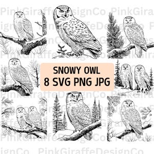Bundle majestueux harfang des neiges SVG, fichier PNG détaillé de croquis de harfang des neiges, hibou contour vectoriel, illustration d'oiseau scène de forêt, clipart animal
