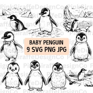 Bundle détaillé de croquis de bébé pingouin, lot de pingouin, scène de paysage antarctique de pingouin PNG, fichier vectoriel mignon pingouin, clipart animaux