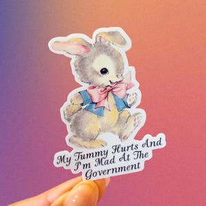 May include: A sticker featuring a vintage-style illustration of a bunny wearing a blue jacket and pink bow tie. The text on the sticker reads "My Tummy Hurts And I'm Mad At The Government."