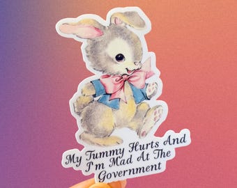 My Tummy Hurts And I'm Mad At The Government Sticker, Funny Sticker, Vinyl Sticker, Vintage Sticker, Kitschy Vintage, Aesthetic Sticker.
