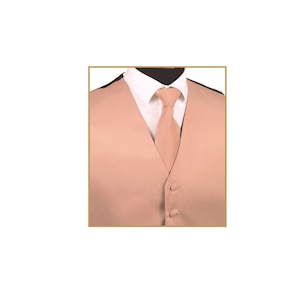 New Men&#39;s Tuxedo Vest Waistcoat and Necktie Mauve Dusty Pink regular fit wedding formal occasion