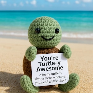 Może przedstawiać: Szydełkowa figurka żółwia z zieloną głową i kończynami oraz brązowym korpusem, trzymająca znak z napisem "You're Turtle-y Awesome". Żółw znajduje się na piaszczystej plaży z niebieskim oceanem i niebem w tle.