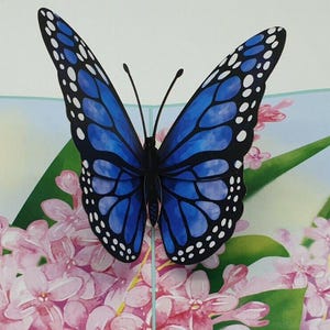 Carte pop-up 3D Papillon Bleu Carte d'anniversaire Fête des Mères