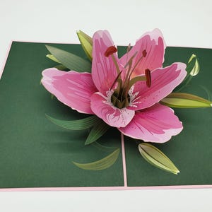Wasserlilie, 3D Pop Up Karte Geburtstag Lilly pink rosa
