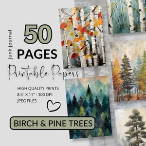Carta per diario spazzatura in foresta di betulla e pino BIG BUNDLE Pacchetto di documenti digitali Scrapbooking Ephemera Creazione di cartoline stampabili Forniture per diario spazzatura