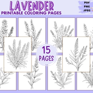 Lavender Coloring Pages 15 Printable Pages Lavender Flower Bouquet Floral Botanical Illustrations Simple Easy Coloring Page Instant Download