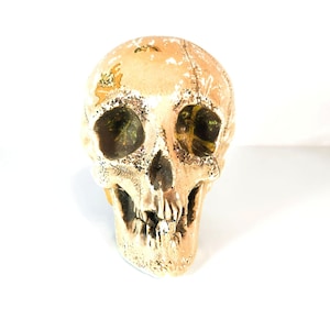 Randotti Skull - Etsy