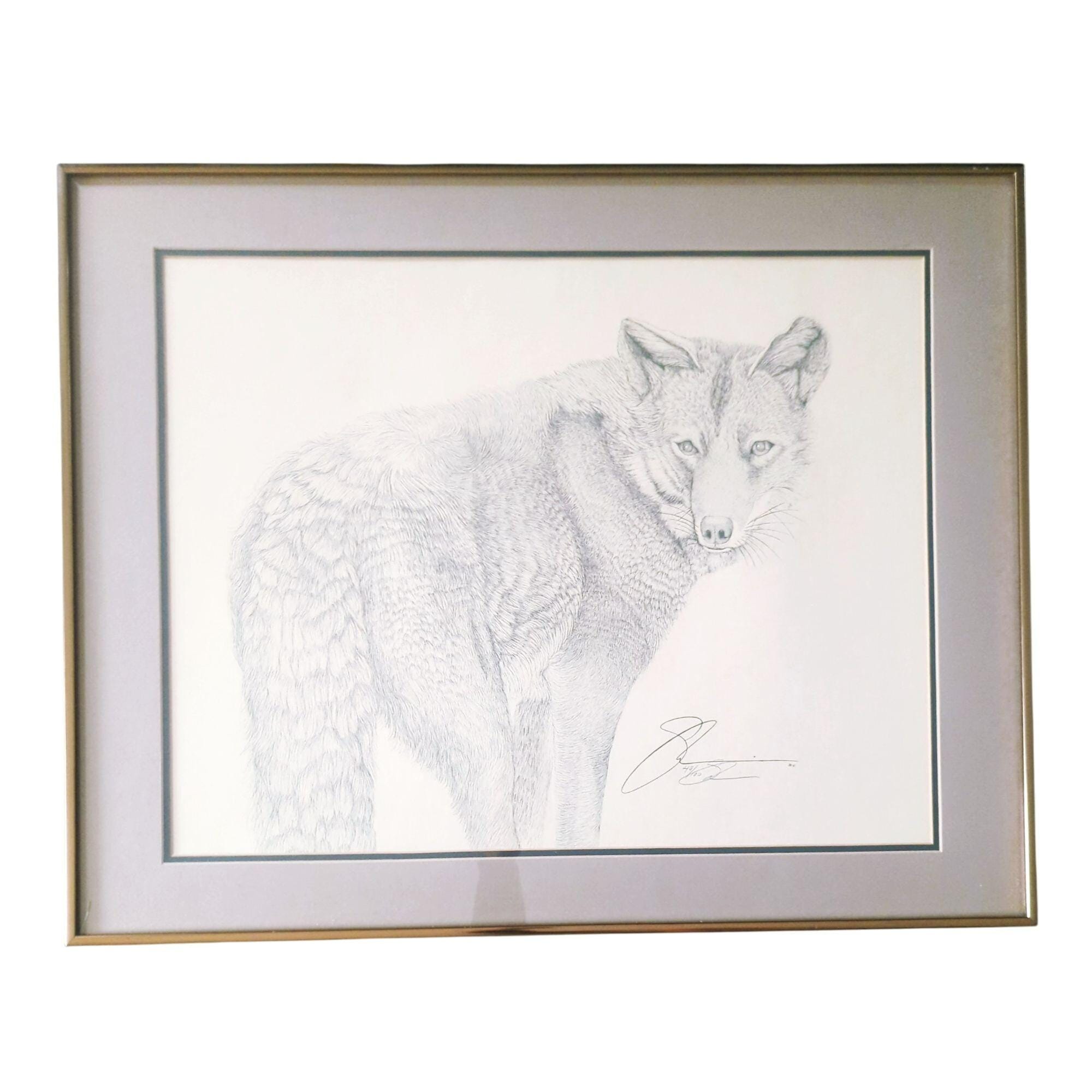Susan Morrison Coyote Signed & Numbered Print With Gold Metal