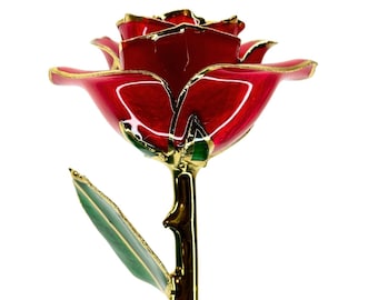 Red Everrose- Open bud 30cm Real Rose Dipped in 24k Gold Foil Rose Valentine