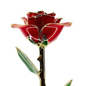 Red Everrose- Open bud 30cm Real Rose Dipped in 24k Gold Foil Rose Valentine