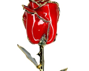 Red Everrose- Closed bud 30cm Real Rose Dipped in 24k Gold Foil Rose Valentine