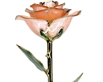 Pink Everrose- Open bud 30cm Real Rose Dipped in 24k Gold Foil Rose Valentine