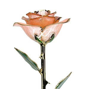 Pink Everrose- Open bud 30cm Real Rose Dipped in 24k Gold Foil Rose Valentine