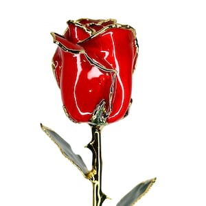 Red Everrose- Closed bud 30cm Real Rose Dipped in 24k Gold Foil Rose Valentine