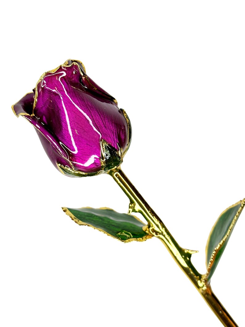 Purple Roses Closed Purple Everrose- Closed 30cm Real Rose Dipped in 24k Gold Foil Rose ...