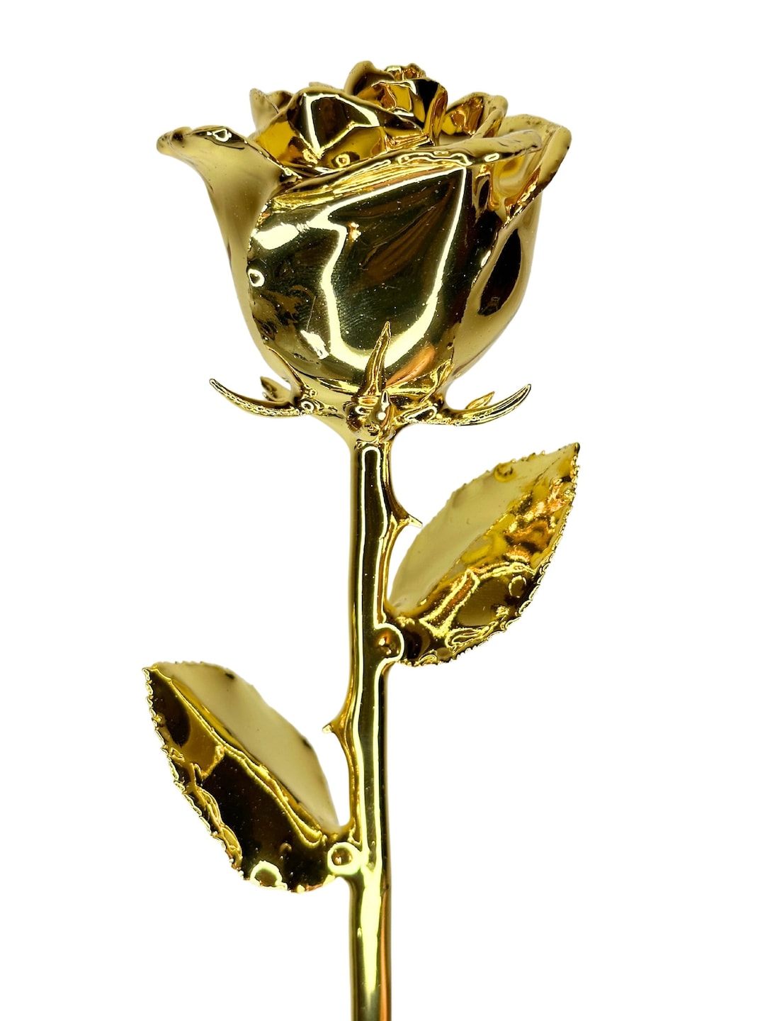 Golden Rose, Everrose Eternity Everlasting Preserved Forever Rose ...