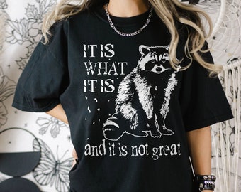 It Is What It Is And It Is Not Great Sweatshirt, Raccoon Sweatshirt, Cartoon Bear Shirt, Mental Health Sweatshirt, Meme T Shirt, Weird Shirt