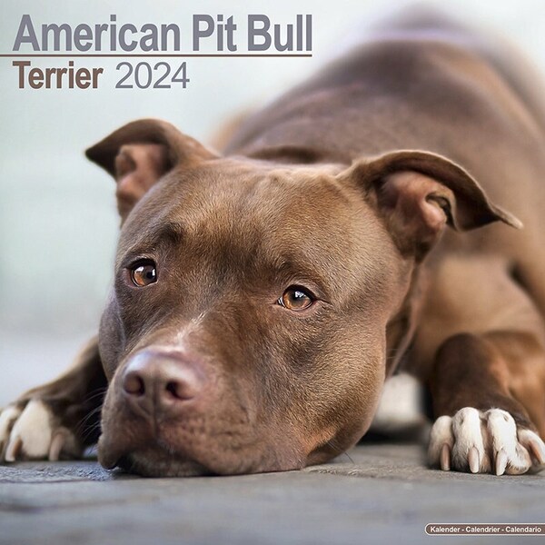 Pit Bull Etsy