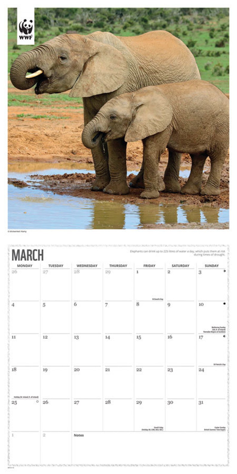 ELEPHANTS CALENDAR 2024 Etsy UK