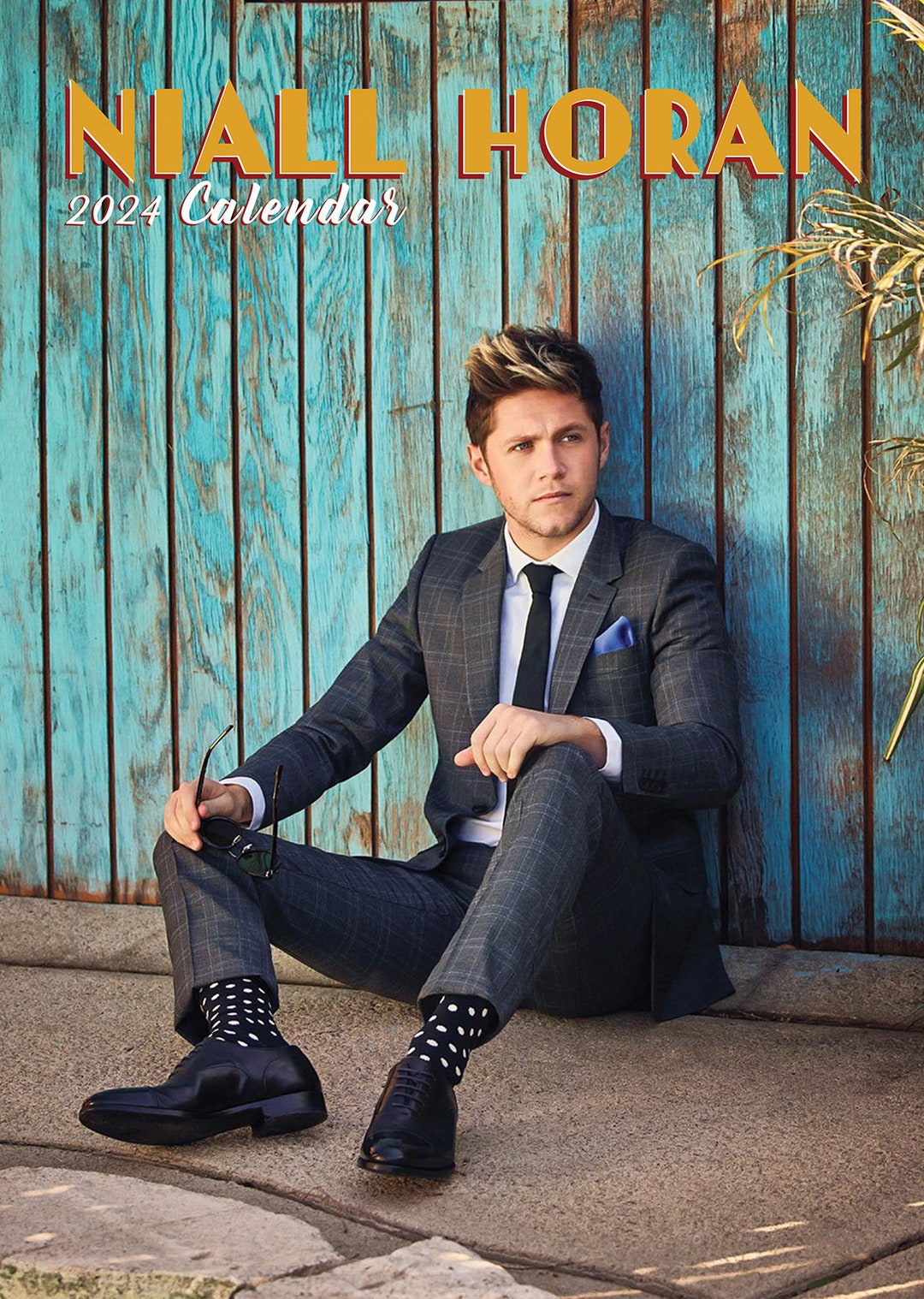 NIALL HORAN 2025 Calendar Etsy