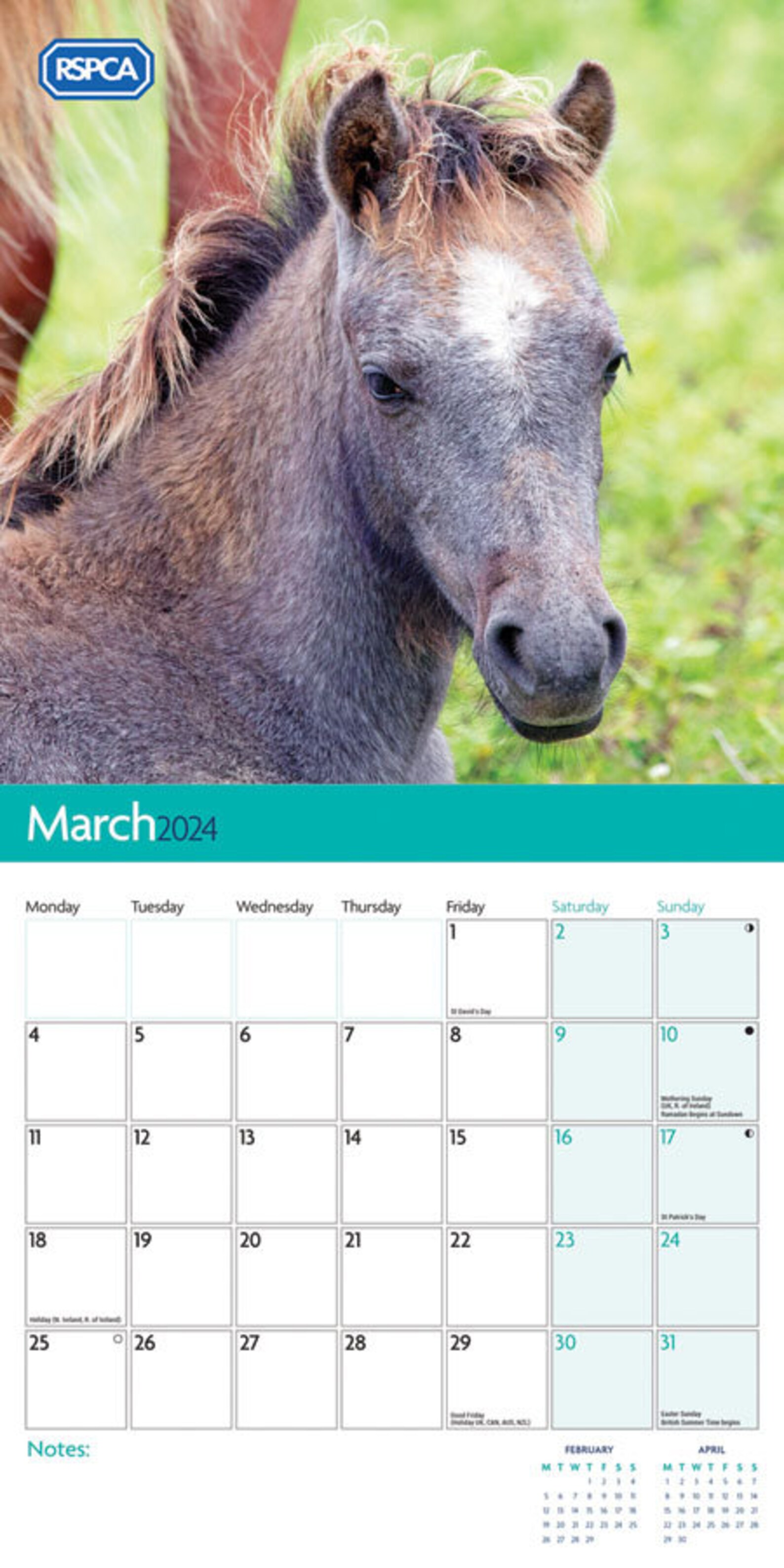 RSPCA BRITISH Horses & Ponies CALENDAR 2024 Etsy