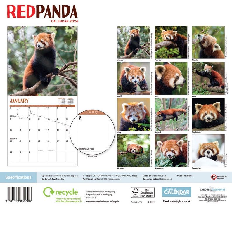 RED PANDA CALENDAR 2024 Etsy