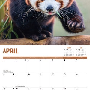 RED PANDA CALENDAR 2024 - Etsy