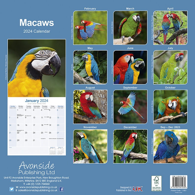 MACAWS CALENDAR 2024 Etsy
