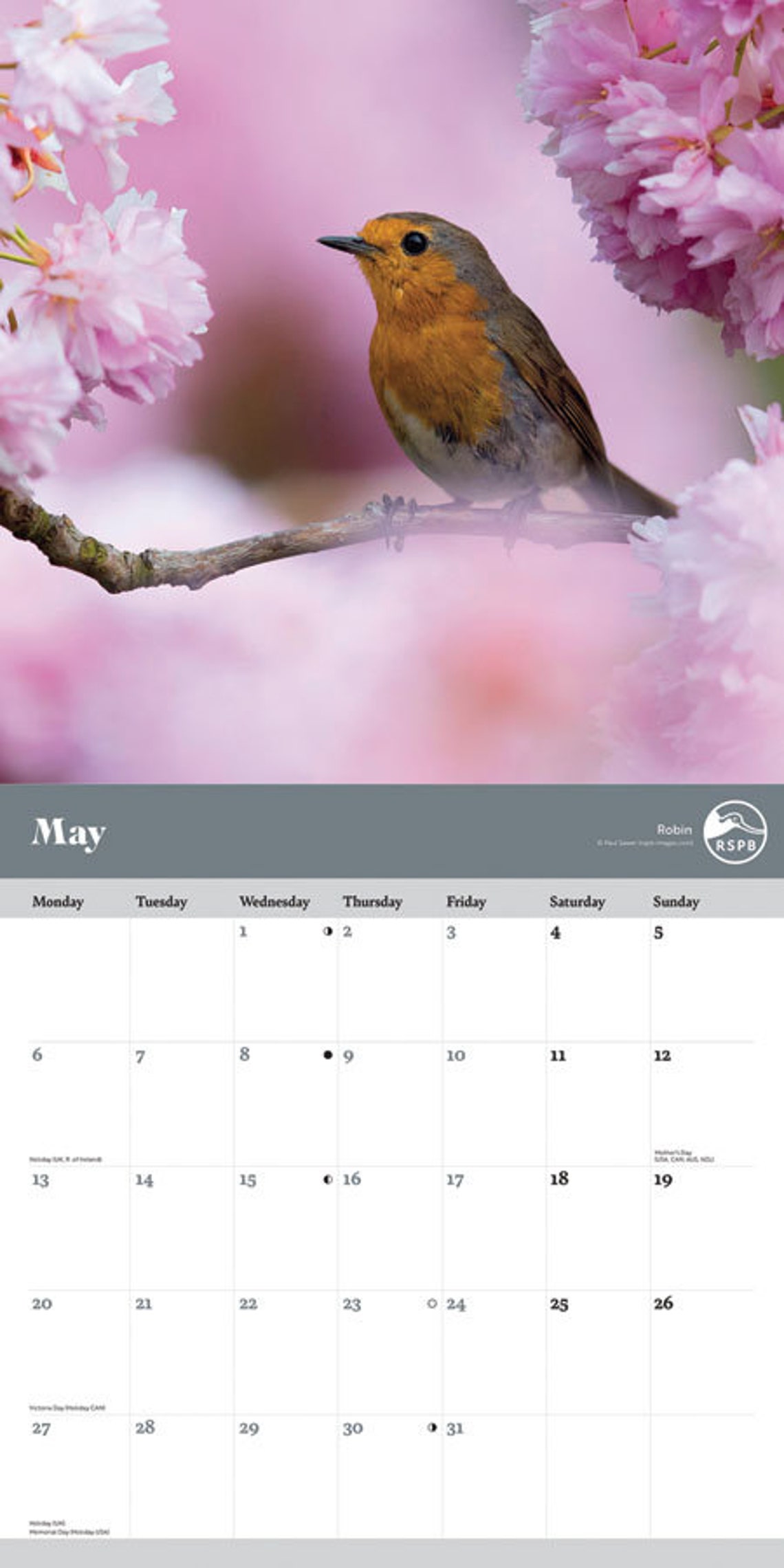 RSPB Garden Birds PFP Wall Calendar 2024 Etsy