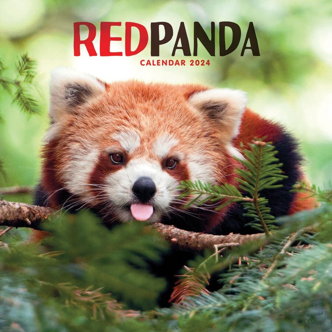 RED PANDA CALENDAR 2024 Etsy