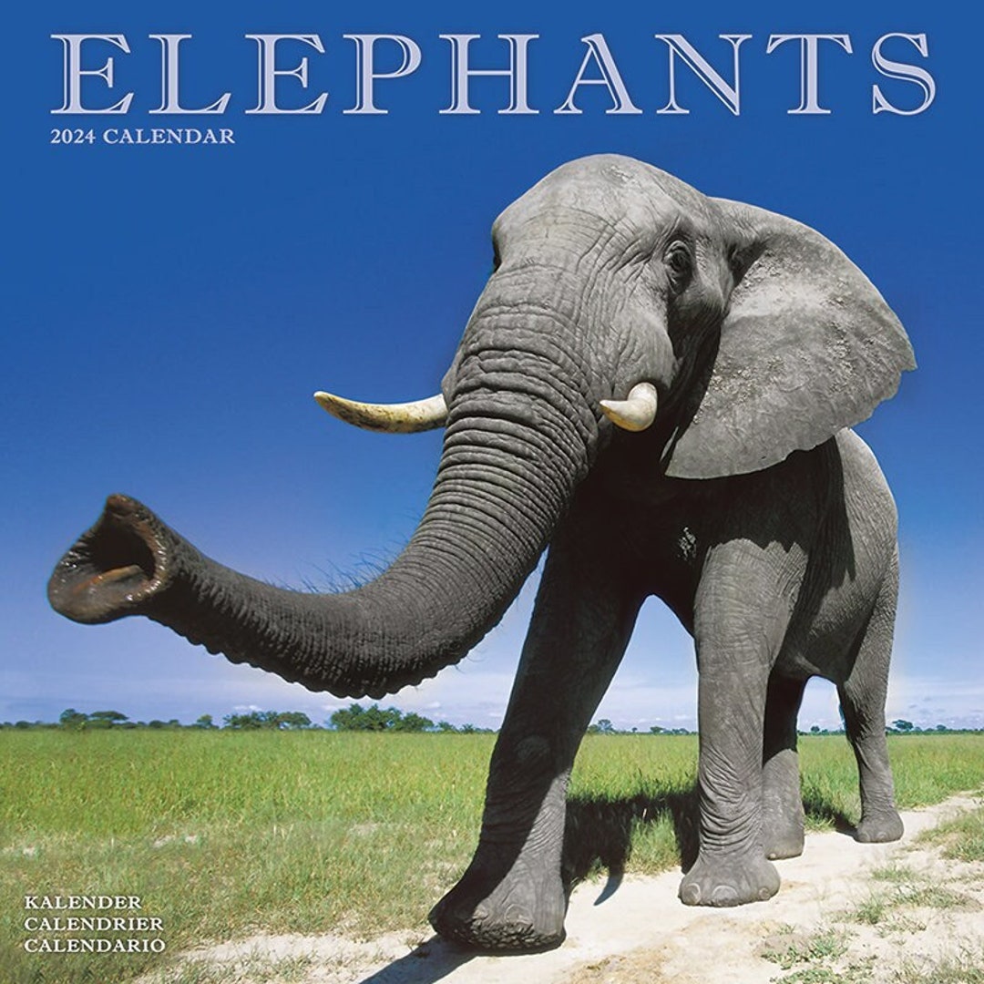 ELEPHANTS Calendar 2024 Etsy UK