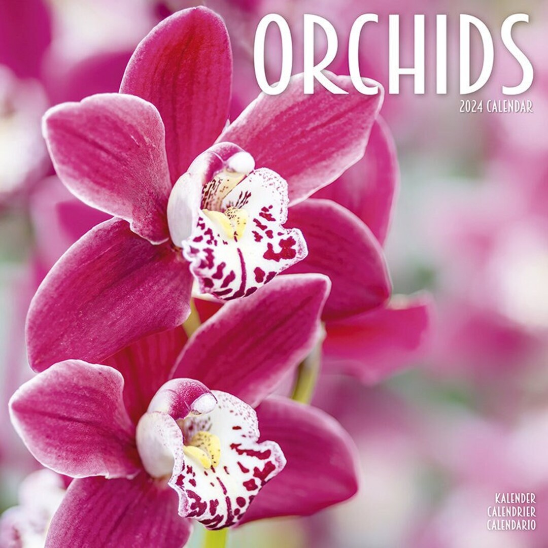 ORCHIDS Calendar 2024 Etsy