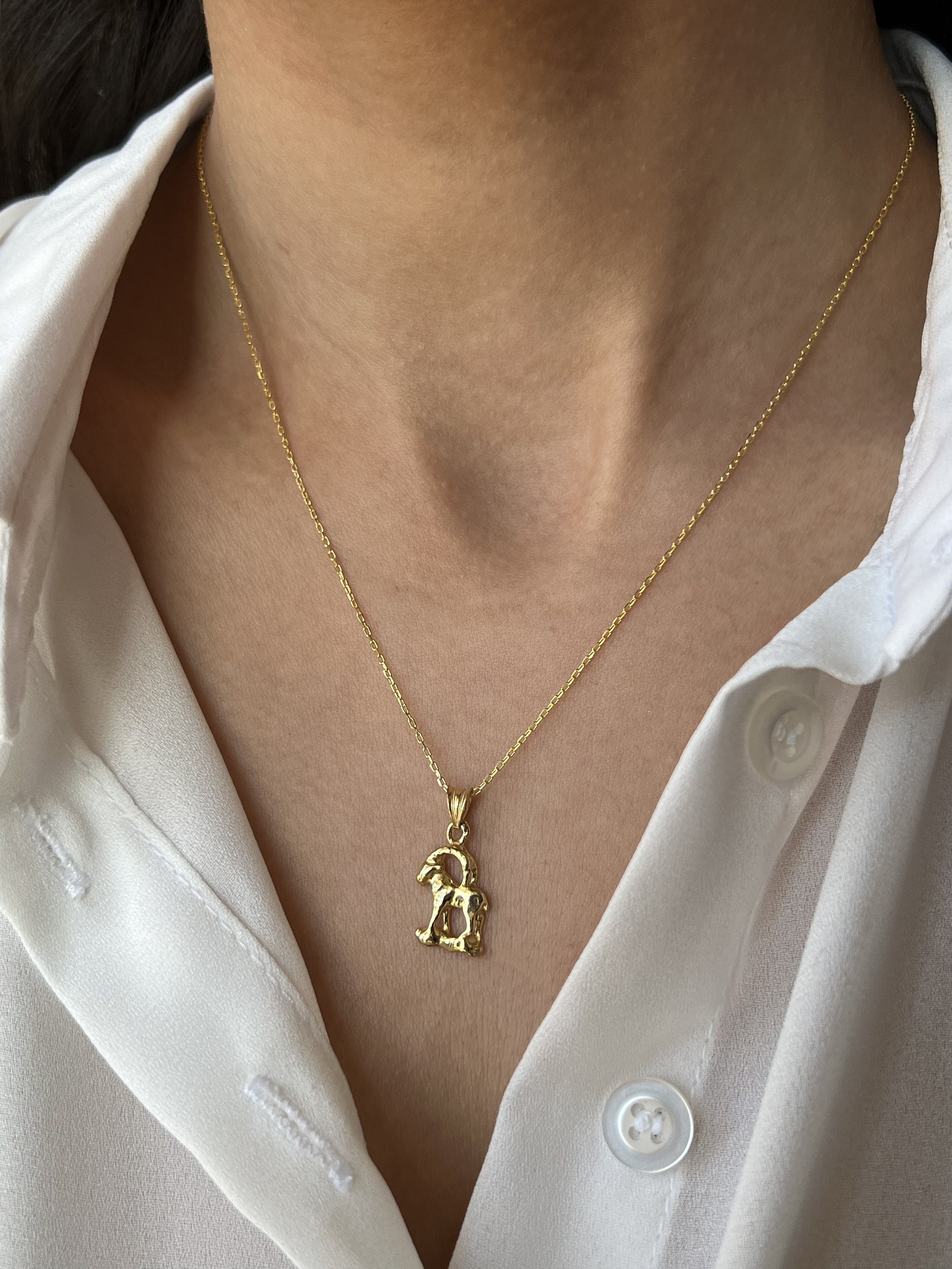 DALANE Collana Con Pendente Capra In Acciaio Inox Placcato Oro 18K – Gioiello Ipoallergenico Per Amanti Animali, Regalo Donna - 3