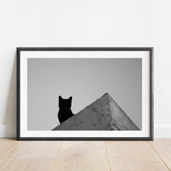 Monochrome cat photography Animal photography print Spain photography Street photography wall art Travel photo print Cat photo poster