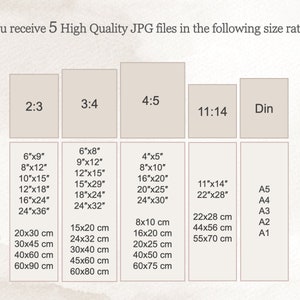 May include: Chart showing five different aspect ratios for digital images, with corresponding measurements in inches and centimeters. The aspect ratios are 2:3, 3:4, 4:5, 11:14, and Din.