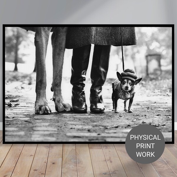 Dog Legs Print I Elliott Erwitt Poster I New York City, USA, 1974 #Street Photography #Documentary