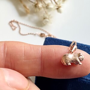 Collar de conejillo de indias de plata de ley o vermeil de oro rosa, regalo para hija o hijo, lindas joyas de animales imagen 9