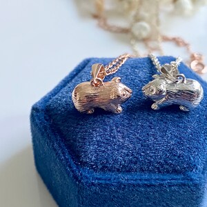 Collar de conejillo de indias de plata de ley o vermeil de oro rosa, regalo para hija o hijo, lindas joyas de animales imagen 2