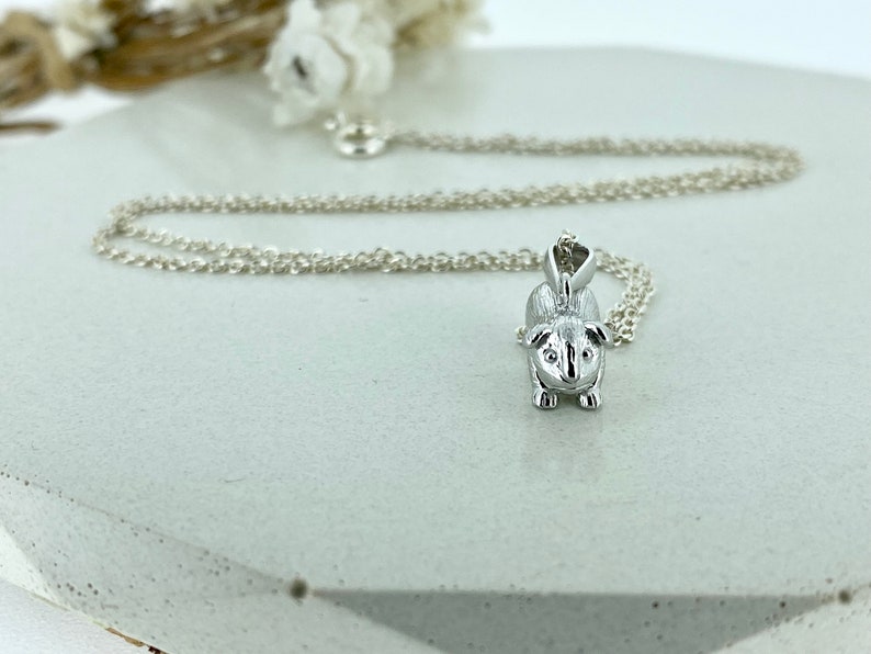 Sterling Silber Meerschweinchen Halskette, Geschenk für Tochter oder Sohn, Option zu personalisieren Bild 6