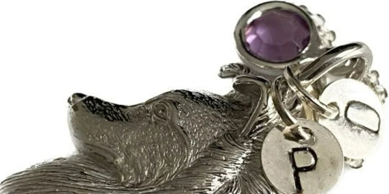 Collar de conejillo de Indias de plata de ley, regalo para hija o hijo, opción de personalizar imagen 10