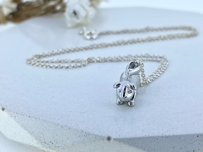 Sterling Silber Meerschweinchen Halskette, Geschenk für Tochter oder Sohn, Option zu personalisieren Bild 4