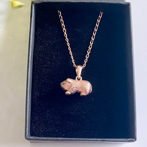 Collar de conejillo de indias de plata de ley o vermeil de oro rosa, regalo para hija o hijo, lindas joyas de animales imagen 10