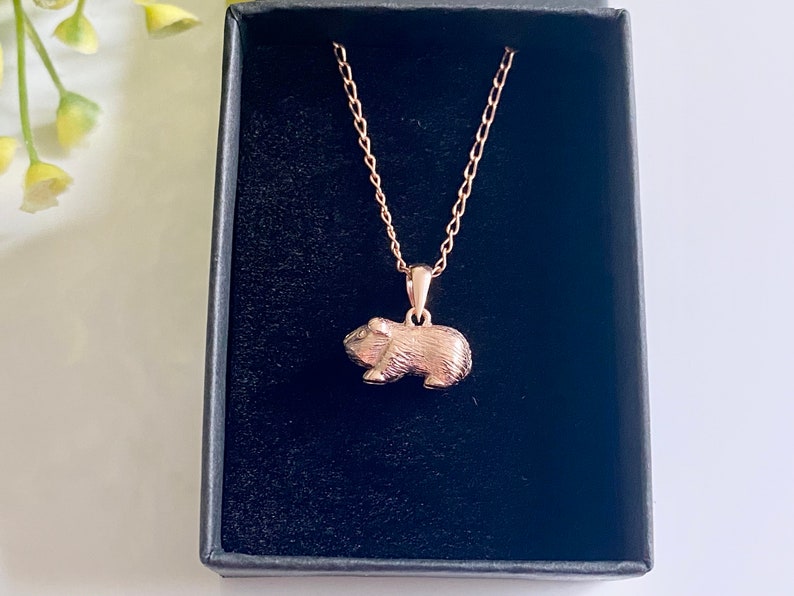 Collar de conejillo de indias de plata de ley o vermeil de oro rosa, regalo para hija o hijo, lindas joyas de animales imagen 10