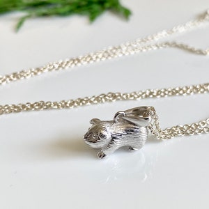 Sterling Silber Meerschweinchen Halskette, Geschenk für Tochter oder Sohn, Option zu personalisieren Bild 3