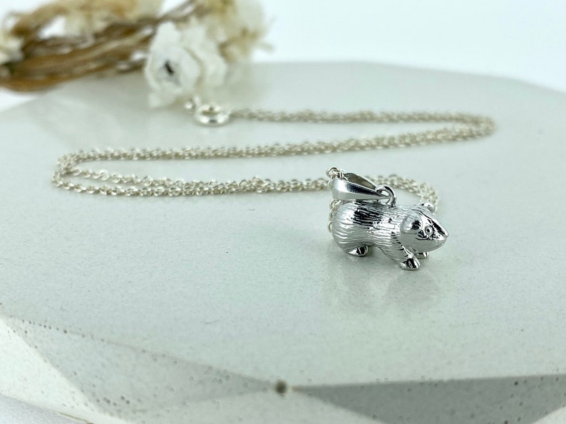 Sterling Silber Meerschweinchen Halskette, Geschenk für Tochter oder Sohn, Option zu personalisieren Bild 5