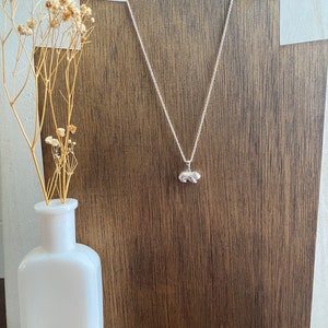 Sterling Silber Meerschweinchen Halskette, Geschenk für Tochter oder Sohn, Option zu personalisieren Bild 8