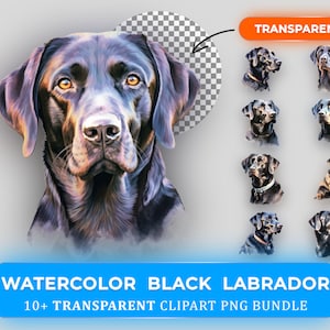 Watercolor Black Labrador Clipart Bundle - 10+ High-Quality PNGs