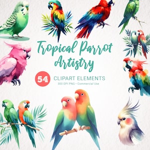 Imágenes Prediseñadas de loros tropicales - Loros de acuarela PNG, Imágenes prediseñadas de acuarela de aves exóticas para invitaciones y manualidades